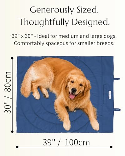 Dog Travel Mat (Blue)