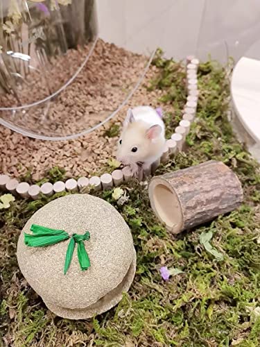 5L Forest Moss for Hamster Syrian Gerbils Bedding (5L / Natural Moss)