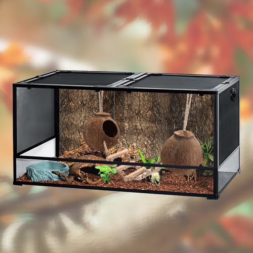 Gecko Tank Accessories