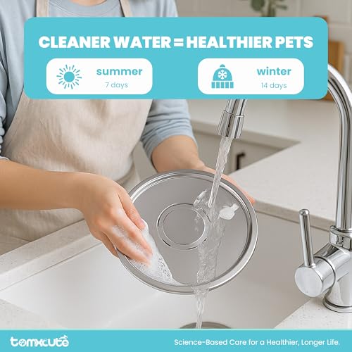 Cat Water Fountain Stainless Steel