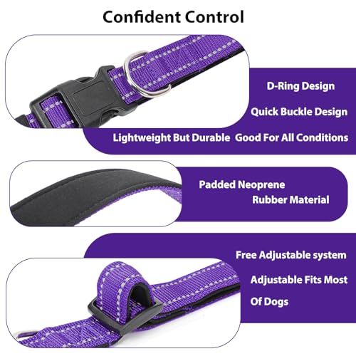 Reflective Dog Collar (Purple / L:width 1"neck 17.5-27")