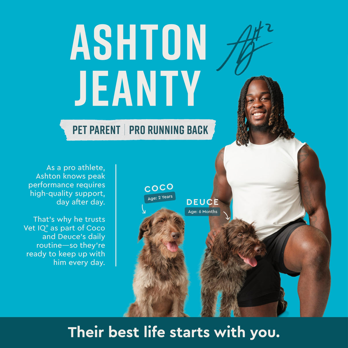 Max Strength Hip & Joint Chews for Dogs (90 Count)