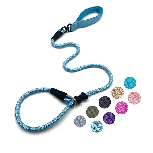 Slip Lead Dog Leash (1/2"×4ft / Light Blue)