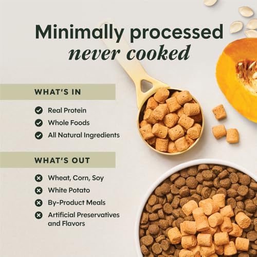 Raw Boost Mixers Freeze Dried Dog Food Toppers For Dry Food (12.5 Ounce (Pack of 1))