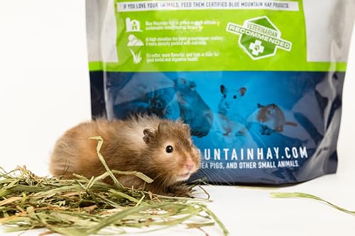 Timothy Hay Easy Flake Feed for Small Pets (25 Pound (Pack of 1))