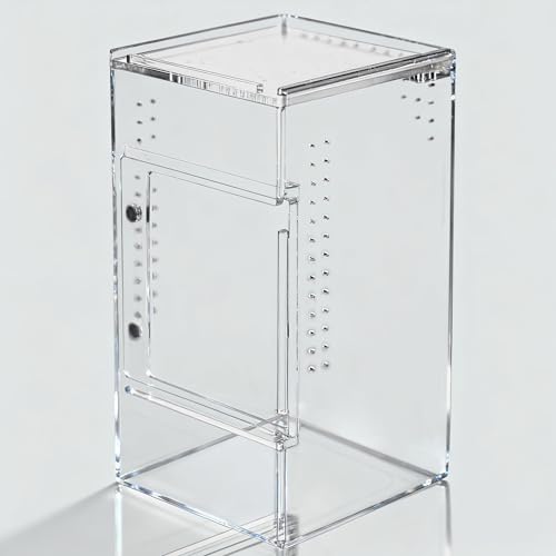 3x3x6 Acrylic Reptile Enclosure for Jumping Spiders & Mantises (3"3"6")