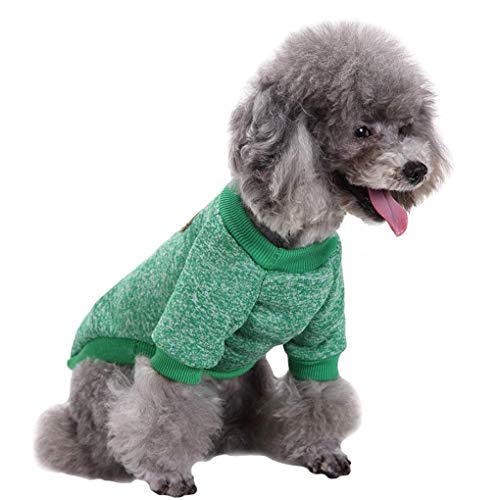 Dog Sweaters for Small Dogs (Green / Small)