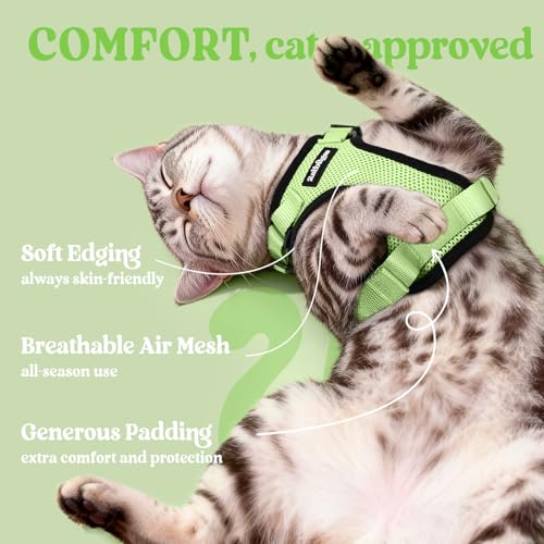 Cat Harness and Leash Set (Xxs / Light Green)