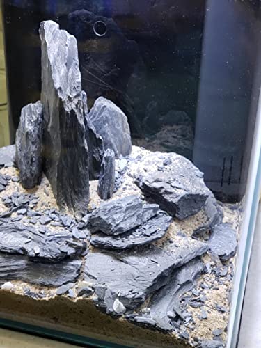 Natural Slate Stone 5 to 7 Inches (10 lbs)