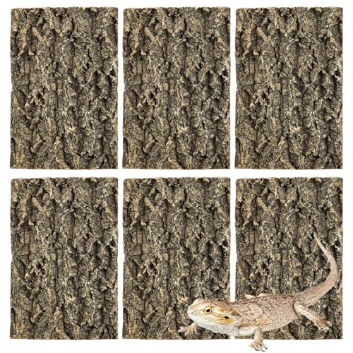 6 PCS Cork Bark Background