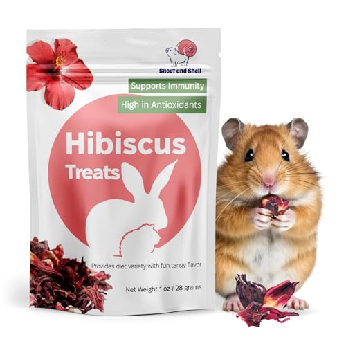 Hibiscus Treats