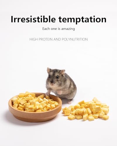 Hamster Snack Treat Toy