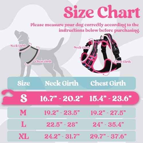 Dog Harness Small Sized (Mountain Rose / Small)