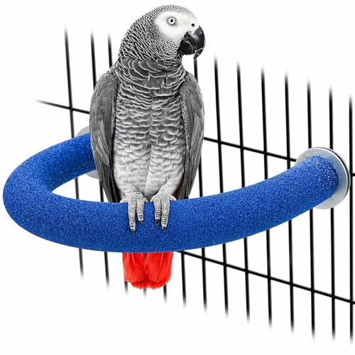 U Shaped Large Parrot Perch (Large / Blue)