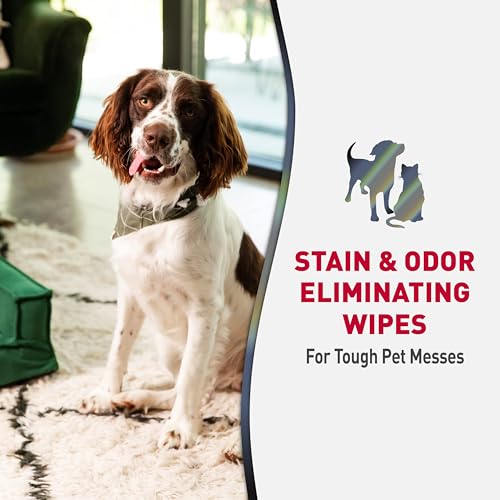 Advanced Pet Stain & Odor Eliminating Wipes (Wipe / 30 Count (Pack of 1))