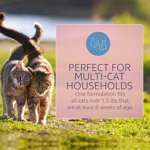 Flea and Tick Prevention for Cats (6-Month Supply)