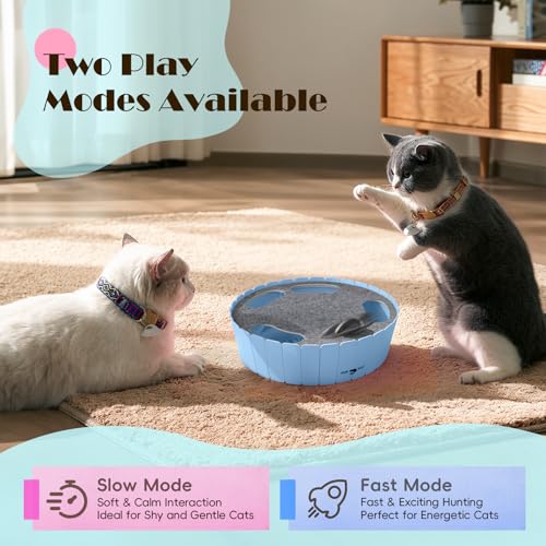Interactive Cat Toy with Running Mouse (C-Blue)