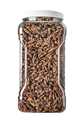 Crickets Freeze Dried Crickets for Tropical Fish (1 Pound (Pack of 1))