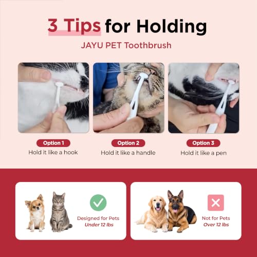 Dental Care Brush with Soft Bristles 1ea (Soft Bristles / 1 Count (Pack of 1))