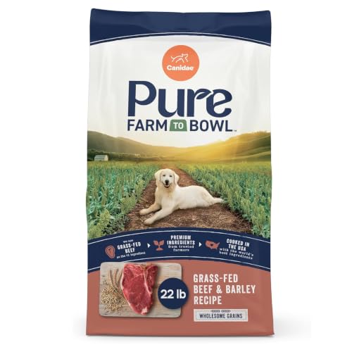 Pure Farm to Bowl Dog Food (22 Pound (Pack of 1))