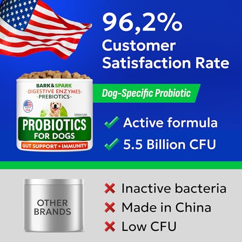 Dog Probiotics 120 Chews for Digestive Health w (Probiotic Chews / 120Ct)