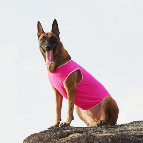 2 Pack Cooling Shirts for Dogs (M(chest:12-14") / Pink&Rose red)