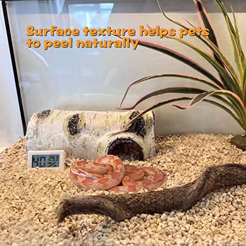 Reptile Hide Caves Simulation Tree Hideout Snake Hide