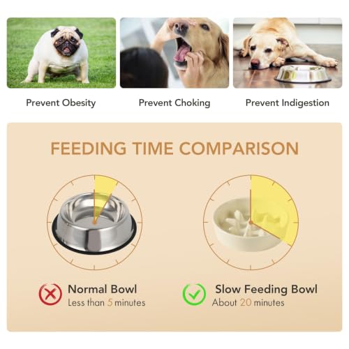 Elevated Slow Feeder Dog Bowls (Light Yellow)