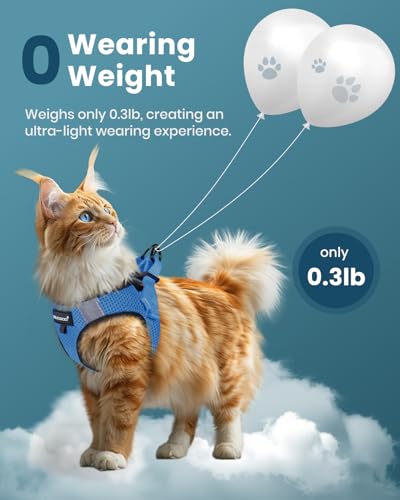 Cat Harness and Leash Set (Tranquil Teal / M(Chest 10-12"))