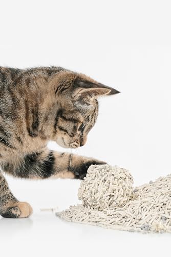 Tofu Cat Litter with Bentonite