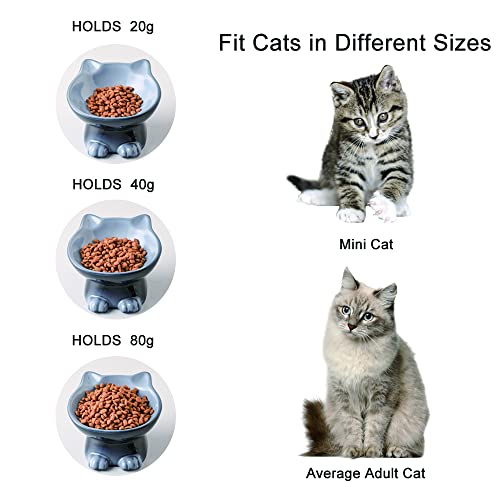 Elevated Cat Bowls (4.5 OZ / Gray)