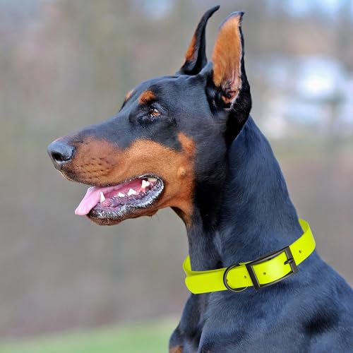 Biothane Waterproof Dog Collar Strong Coated Nylon Webbing with Black Hardware Odor