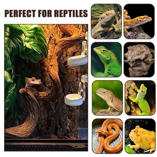 3PCS Natural Reptile Climbing Branches Decor (3PCS|M:1.25-1.75"T,13"H)