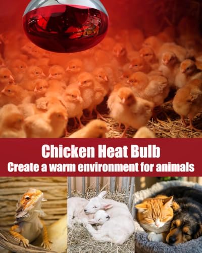 250W R40 Red Heat Lamp Bulbs (Red / 1 Pack)