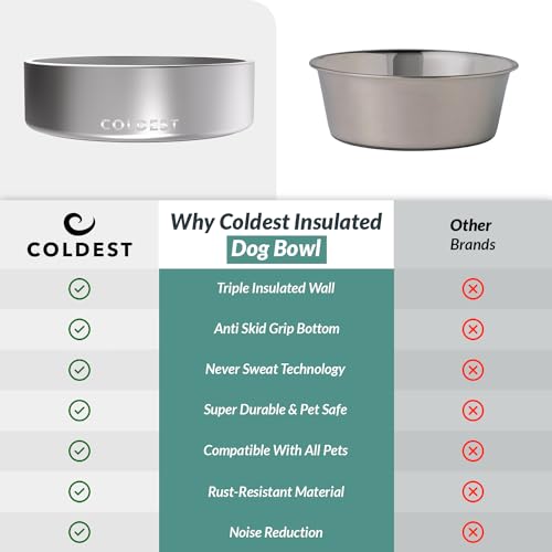 Coldest Dog Bowl (42 oz / Polished Stainless Steel)