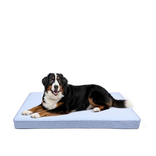 Cooling Dog Bed for Large Dogs (Blue / XX-Large-47"x 29" x 3.5")