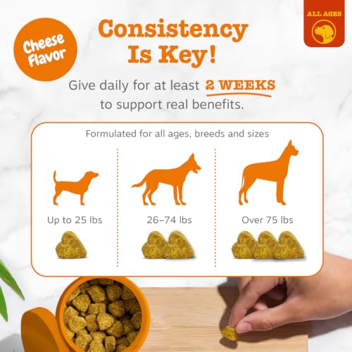 Hemp Dog Allergy Chews (90 Count (Pack of 1) - Standard)