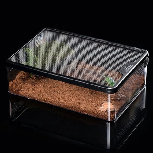 Reptile Feeding Box Clear Terrarium for Geckos