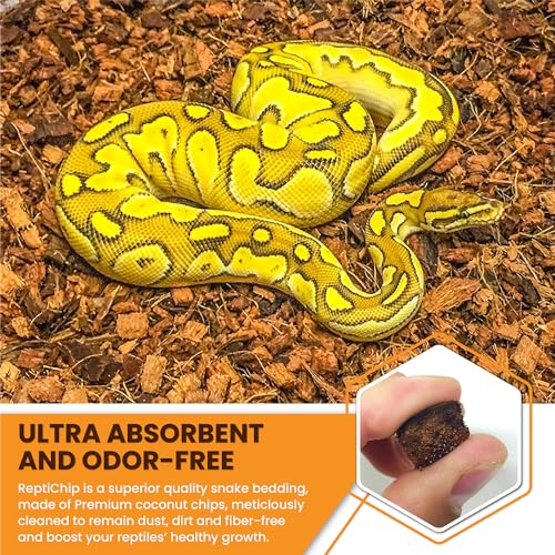ReptiChip Reptile Substrate Coconut Chip Bedding 72 Quart Compressed Organic Coco Husk Block for Snake Habitat (5 Pack Breeder Bundle)
