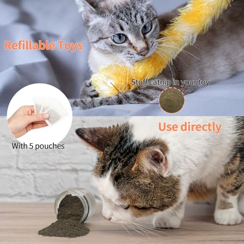 Premium Catnip for Cats & Kittens (45g)