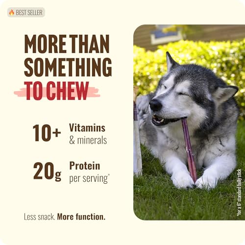 Odor Free Bully Sticks (12" Standard - 12 Count)