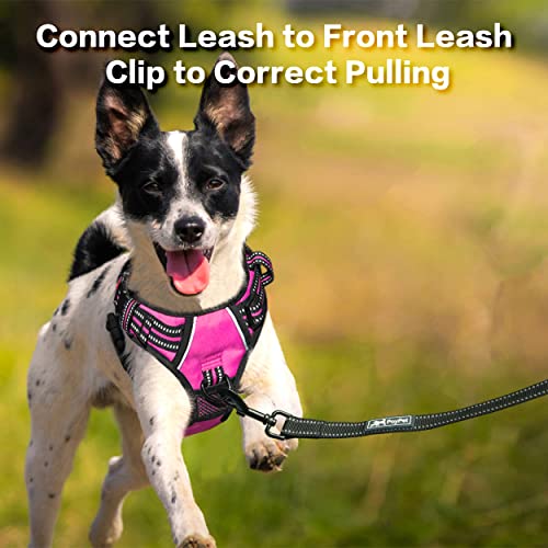 No Pull Dog Harness with 3 Leash Clips and Vertical Handle (Large / Pink)
