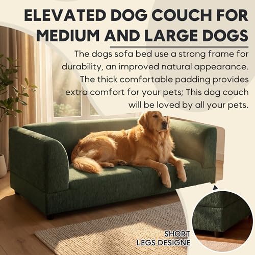 Oversized Dog Sofa Couch for Medium and Large Dogs with Backrest and Armrest (56.5 inch / Green)