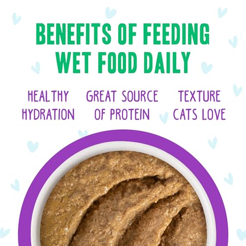 B.F.F. Play Best Feline Friend Paté Lovers (3 Ounce (Pack of 12))