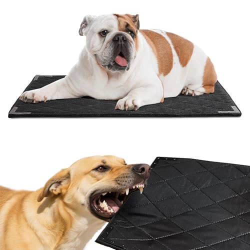 Durable Chew Proof Dog Bed with Metal Rivet Corner for Medium Dogs (M (35" L x 22" W) / Black)
