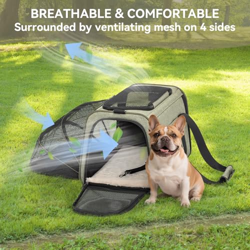 Large Expandable Cat Carrier for Travel (19.0"L x 12.0"W x 12.0"H / Green)