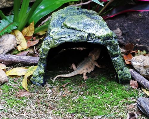 Rock Hide Cave for Reptiles (Medium Size ( Green ))