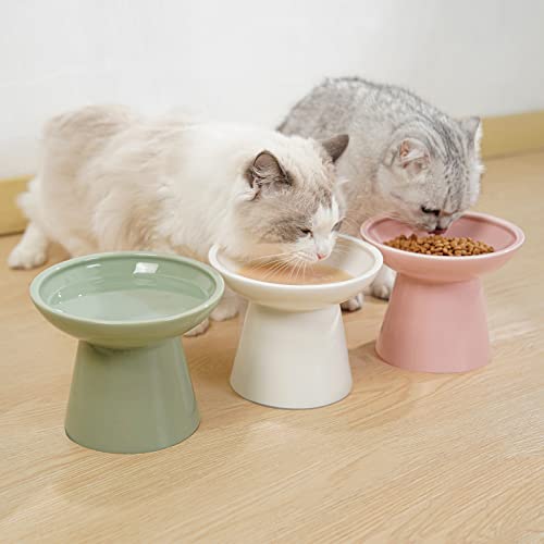 2 Pack Extra Wide Elevated Ceramic 6.2" Shallow Cat Food Bowls (Sage Green-2 Food Bowl)