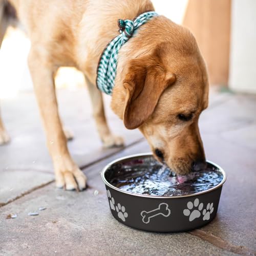 Bella Dog Bowls (Espresso / X-Large (65-100lbs))