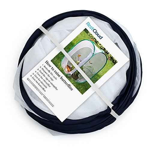 Insect and Butterfly Habitat Cage Terrarium Pop (White With Black / 15.7 x 15.7 x 23.6 inches)